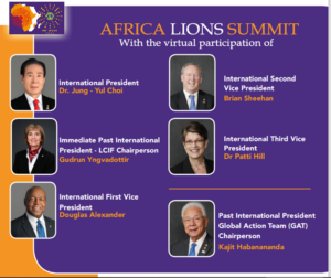 Africa Virtual Lions Summit